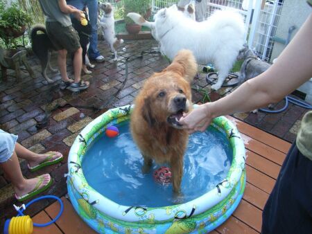 この後は、廻りの皆さんに「ブルンブルン攻撃」です♪