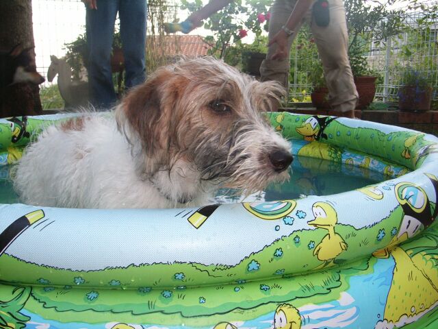 お水遊び・・・大好きです・・・