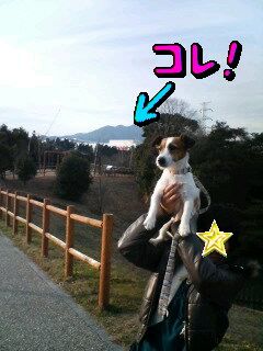 シャープ亀山工場