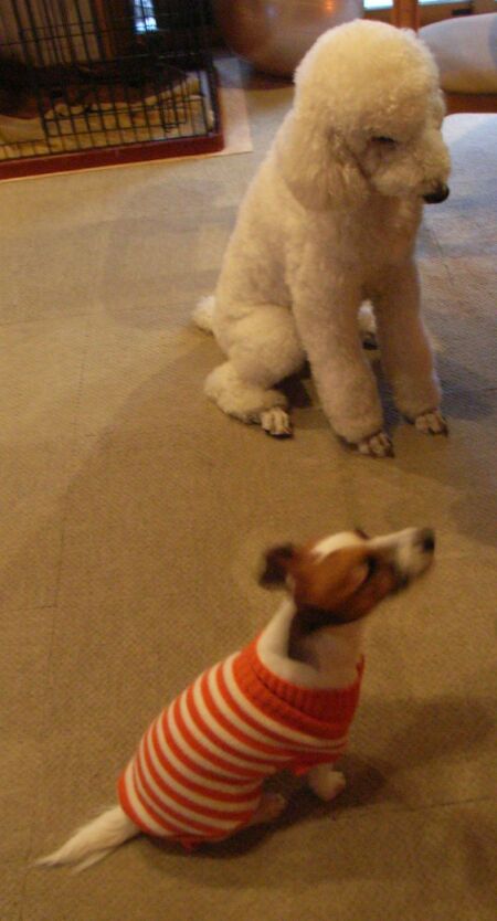 なんかちょ～～だい♪