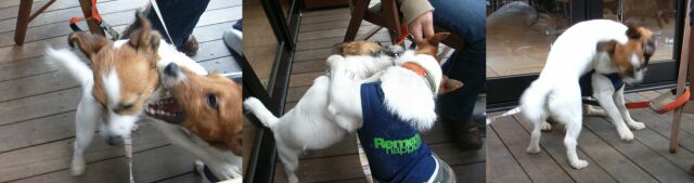 とっても・・・仲良し・・・