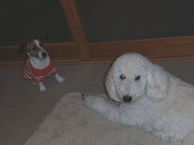 ちっこくたって負けないぞ！！