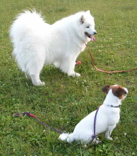 キャンディは、なんか持ってきたの?