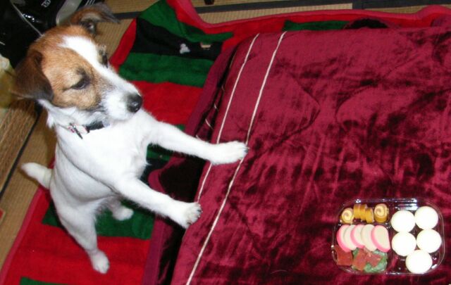 よ・よだれが・・・がまんできません