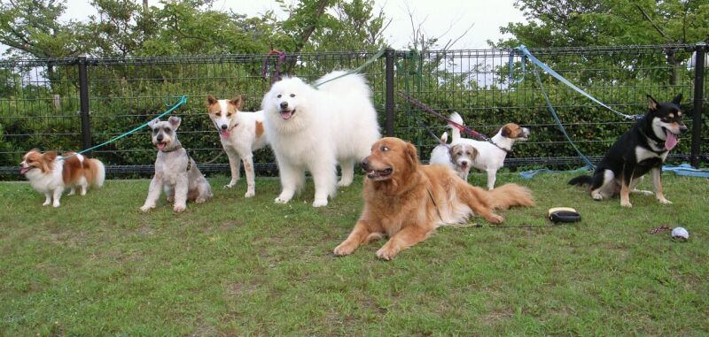 マロン君・・・・・逃げ腰になってません？