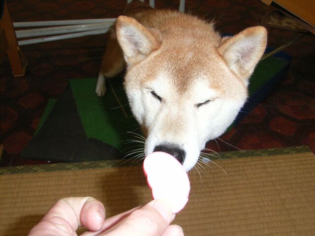 「さくら」には、「かまぼこ」あげるね♪