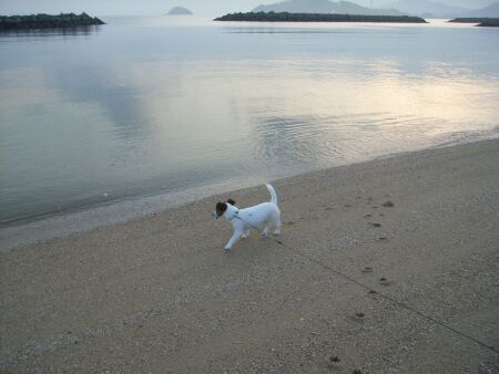 冬の砂浜は、とってもきれいです。