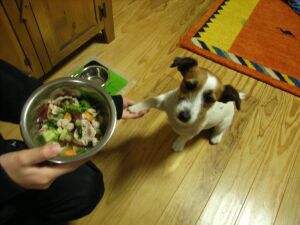 は・・・はやく