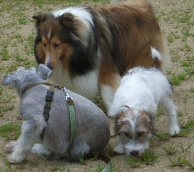 ルネちゃん、ベン君にも会えました。