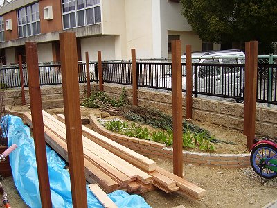 東側の庭ににょきにょきと・・・