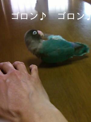 画像-3