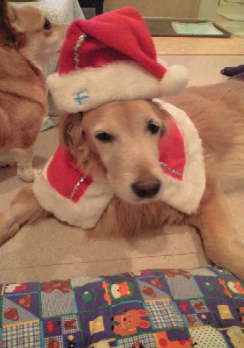 クリスマス1