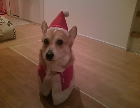 クリスマス2