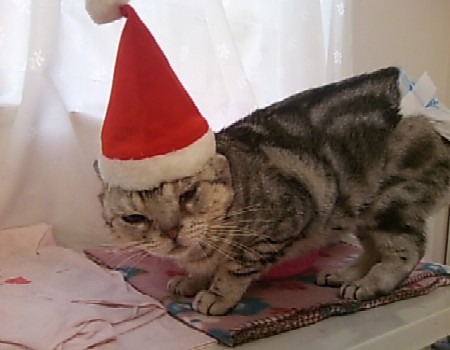 クリスマス3