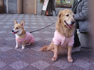画像466-2