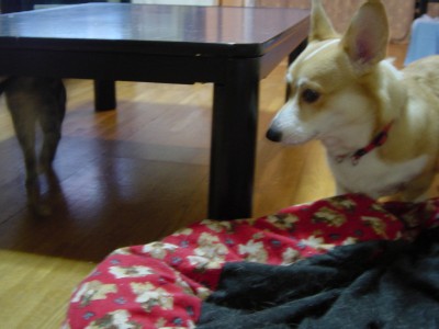 レイラとラブのこだわり