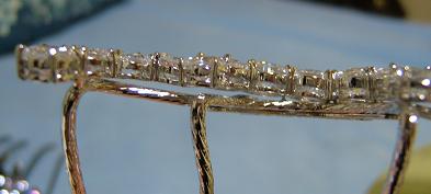 ミューズ他 007.jpg