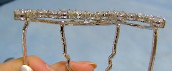 ミューズ他 006.jpg