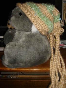 モデルはコアラちゃん～