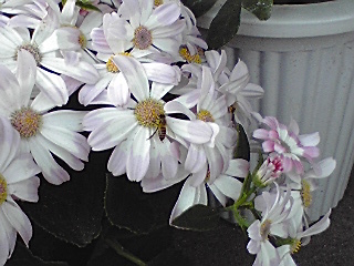 080322_1701~01.jpg