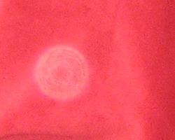 kamakura21.jpg