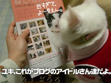 DSCN2002.jpg