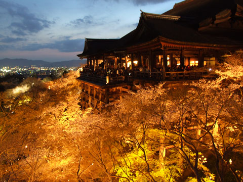 夜の特別拝観中の清水寺