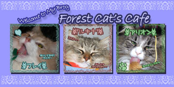 ForestCatsCafe