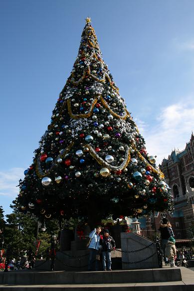 Christmas Tree in Tokyo Disney Sea