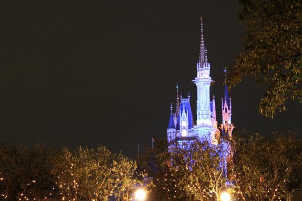 Tokyo Disney Land in Night