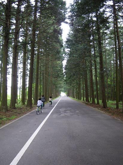 新緑サイクリング