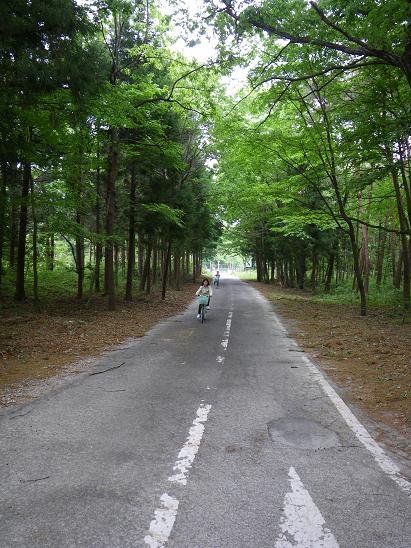 新緑サイクリング