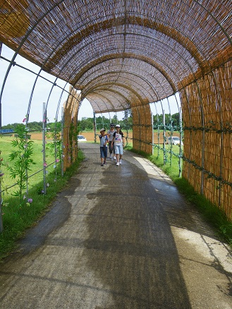 東京ドイツ村　９　「ミストの遭遇」