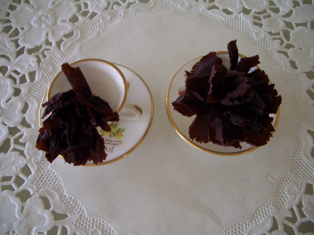 開くとこうなります＾＾