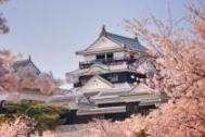 松山城の桜