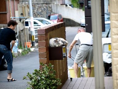 長崎の猫たち48の１.JPG