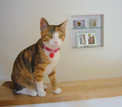 さくらも一緒に☆彡