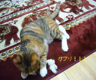 ガブッ！！.jpg