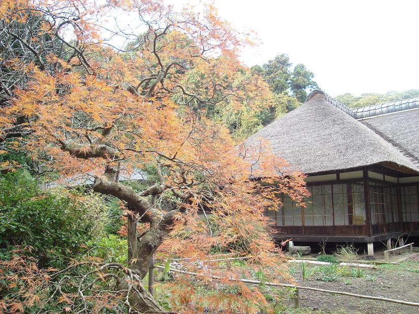 Kamakura trip 007.jpg