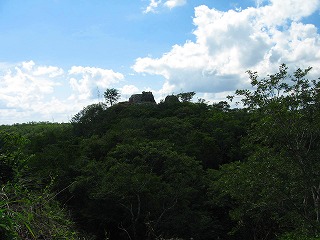 発掘前の遺跡.jpg