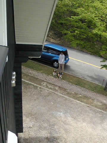 2階からGOOちょん、らい君、きぅいたん