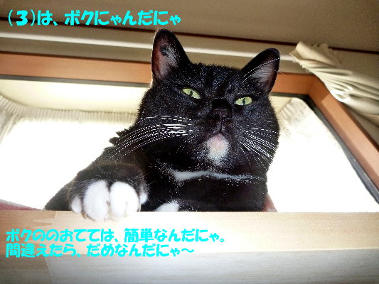 ３の答え.jpg