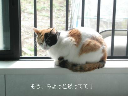 みみにゃんおふろ２