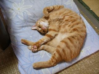画像 053.jpg