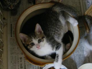 画像 118.jpg
