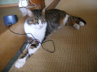 画像 050.jpg