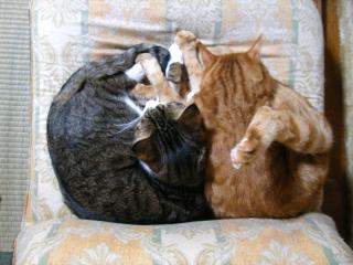 画像 129.jpg