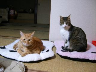 画像 030.jpg