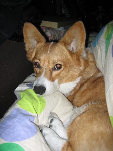 １１月１７日 001.JPG