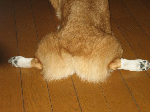 お好み焼きと開脚 005.JPG